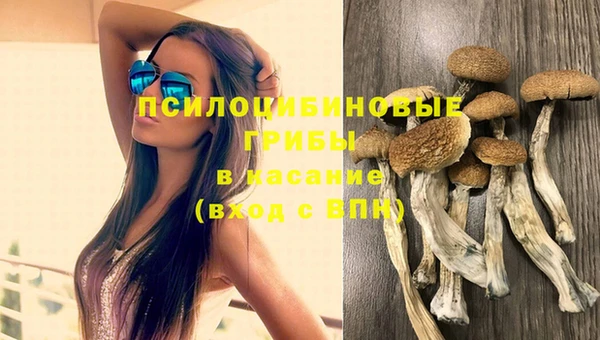 МДПВ Абинск