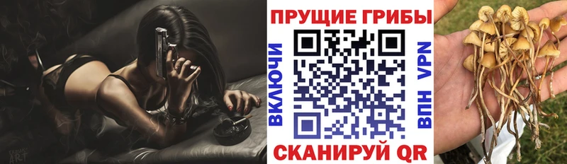 Галлюциногенные грибы мицелий Тарко-Сале