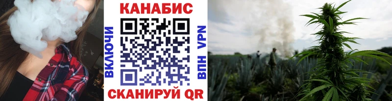 Канабис сатива  как найти закладки  Тарко-Сале 